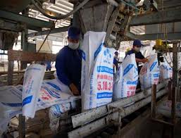 Ratifica premier vietnamita reestructuración del Grupo de Sustancias Químicas